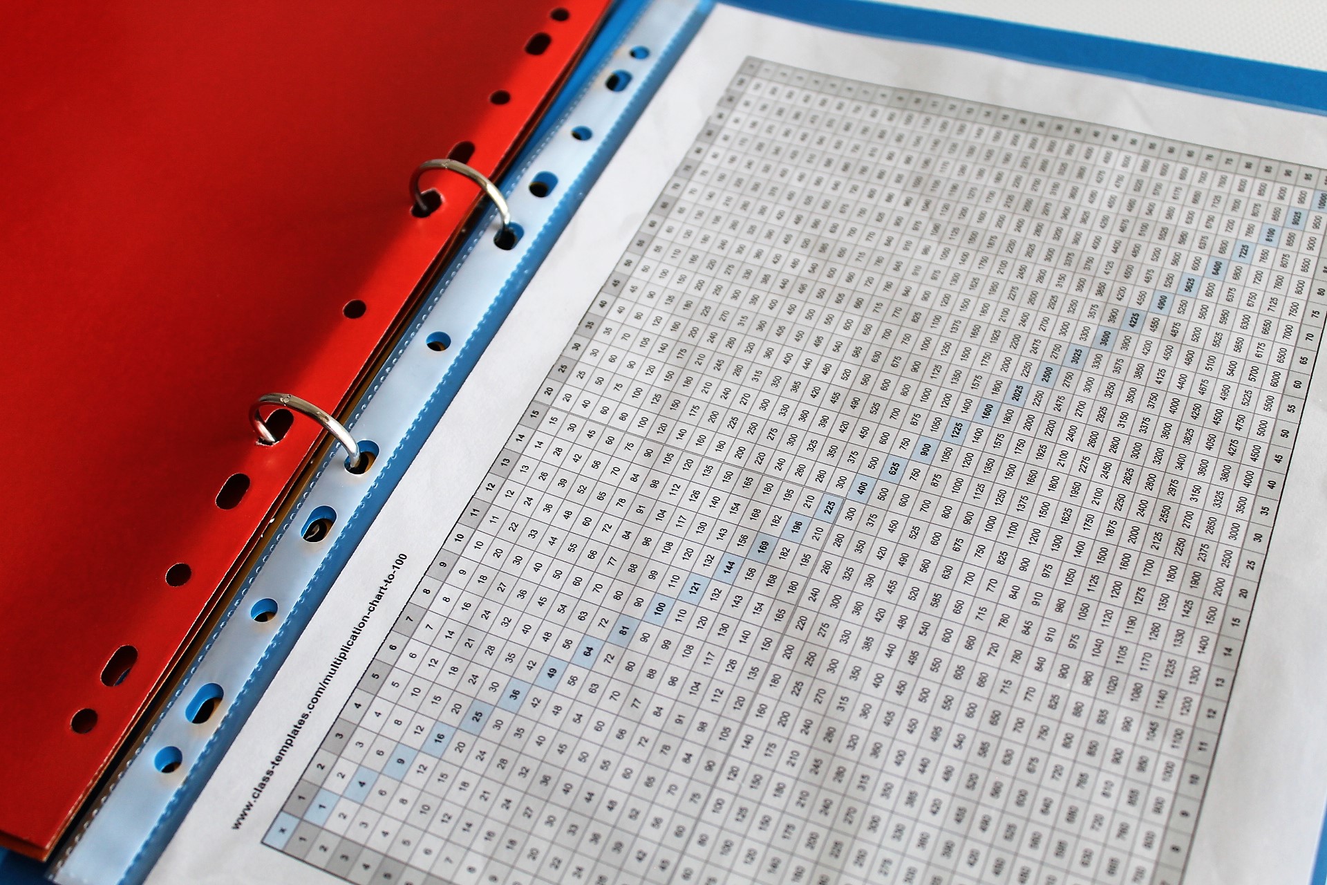 Multiplication Chart to 100 in folder